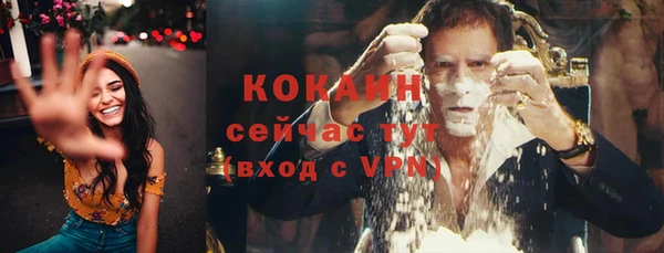 метадон Калининец