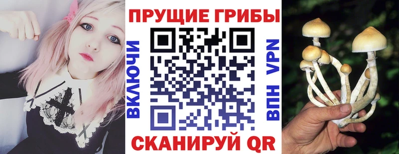 Галлюциногенные грибы GOLDEN TEACHER  купить наркоту  Белая Калитва 