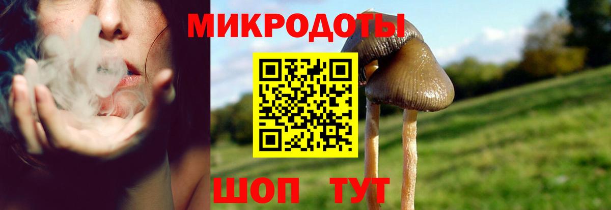 Белая Калитва  Псилоцибиновые грибы мухоморы  Галлюциногенные грибы Psilocybine cubensis  Вход с VPN 